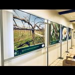 Accrochage et agencement d'exposition  (photo 6)