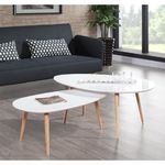 Table Basse Scandinave (photo 2)